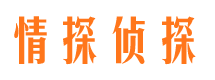 源城市私家侦探